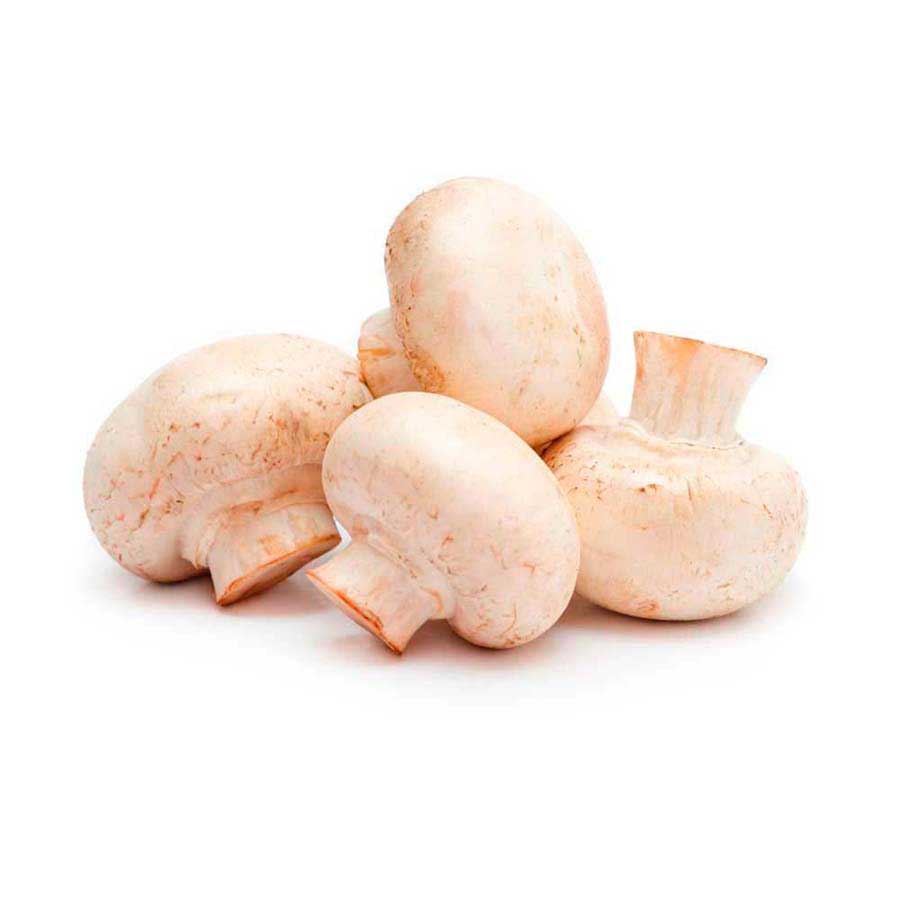 Champiñon libra
