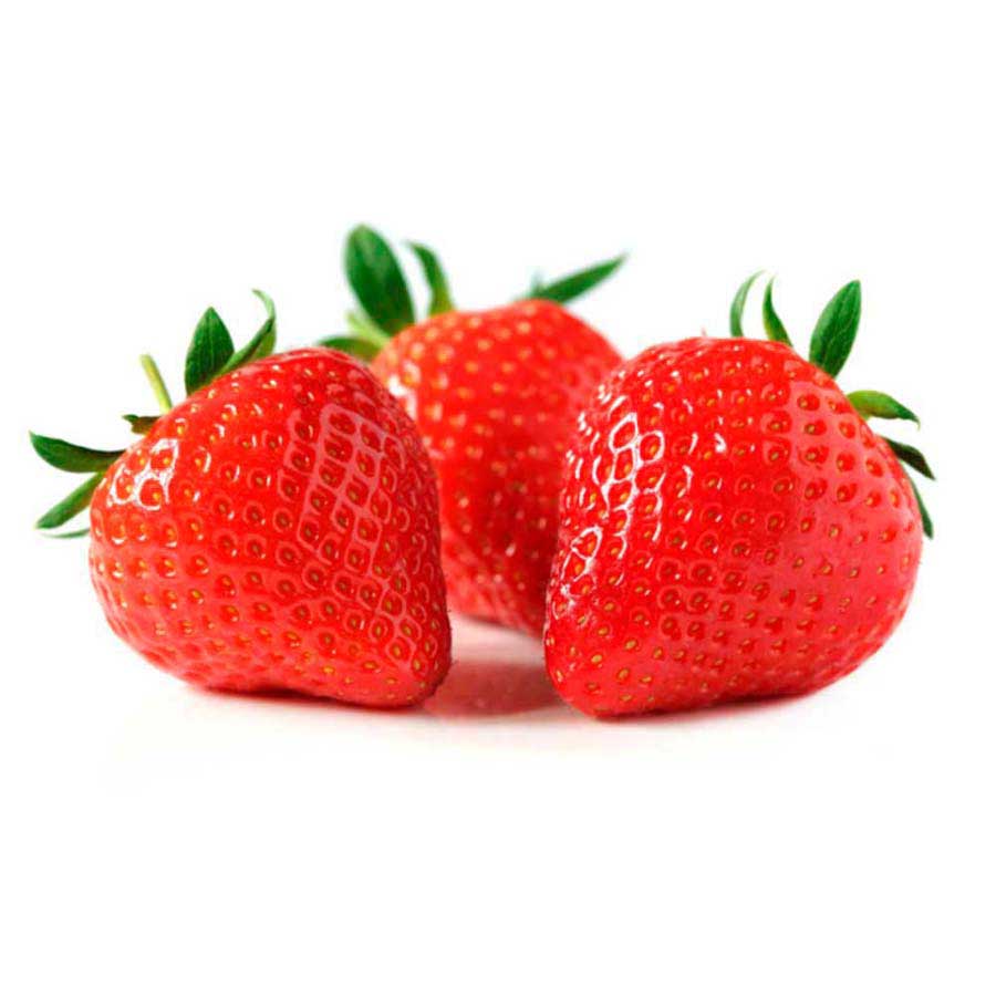 Fresa mediana jugo libra