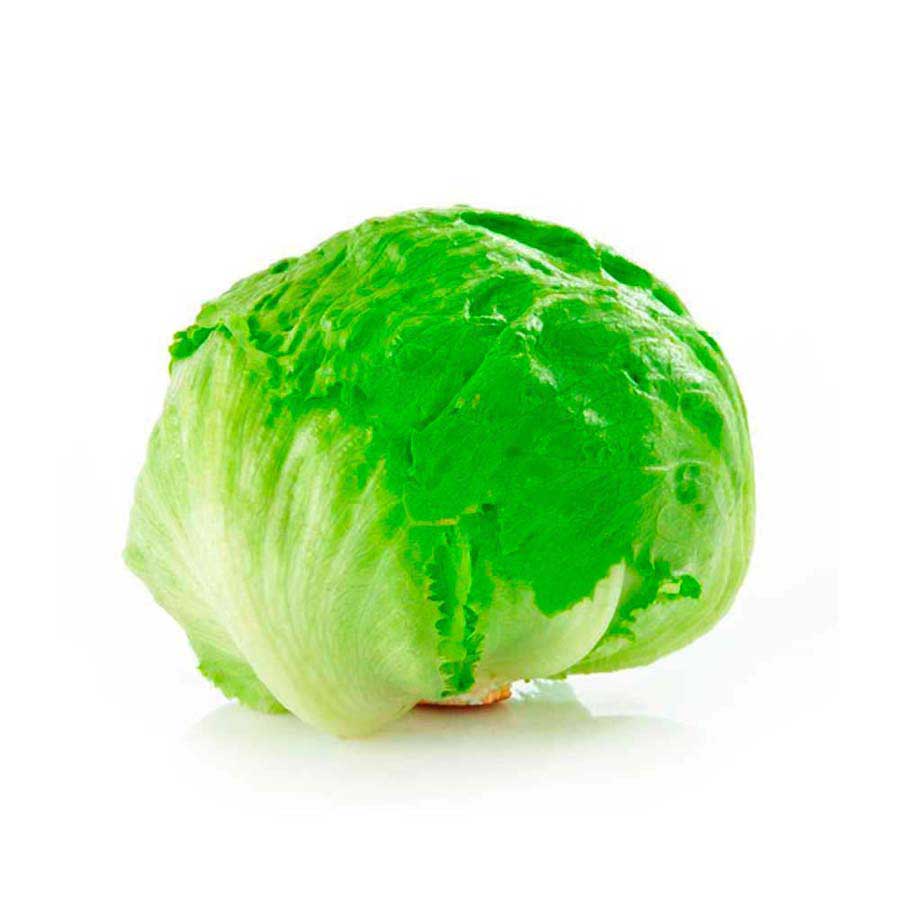 Lechuga Batavia und*800gr