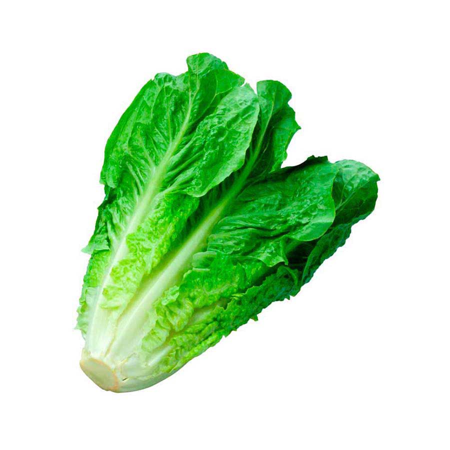 Lechuga Romana Unidad