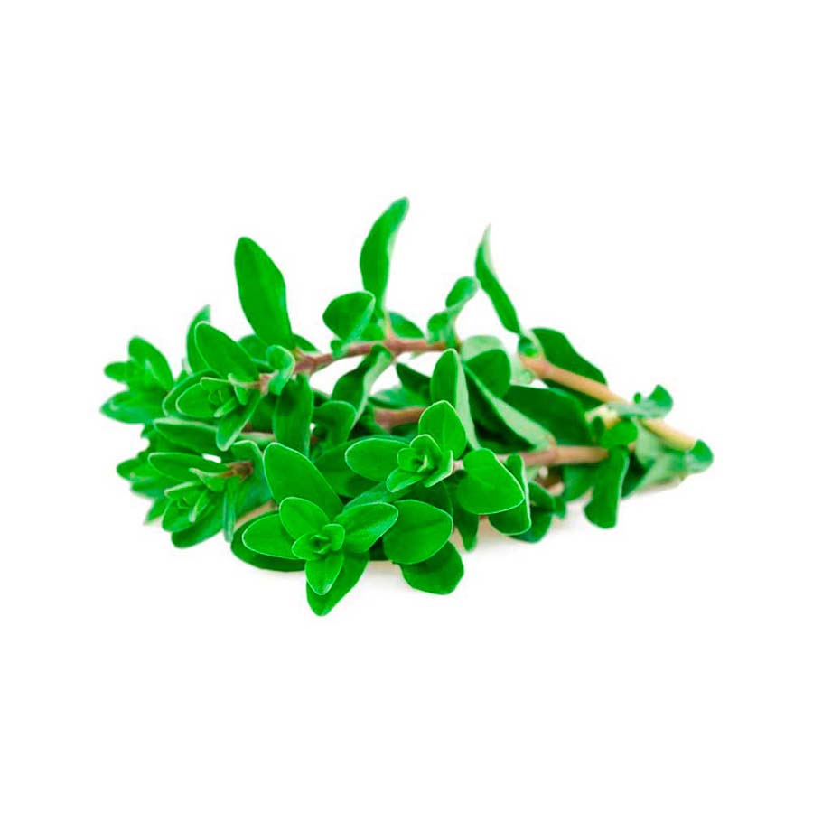 Mejorana paq*200gr