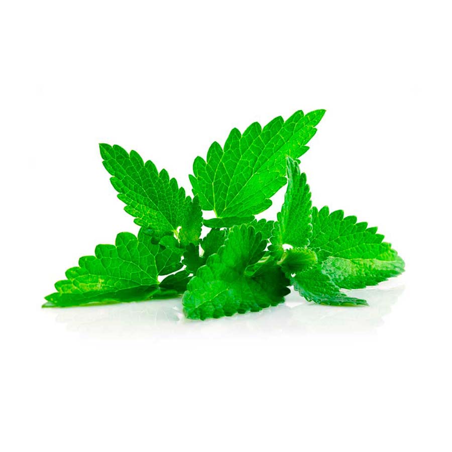 Menta paq*100gr