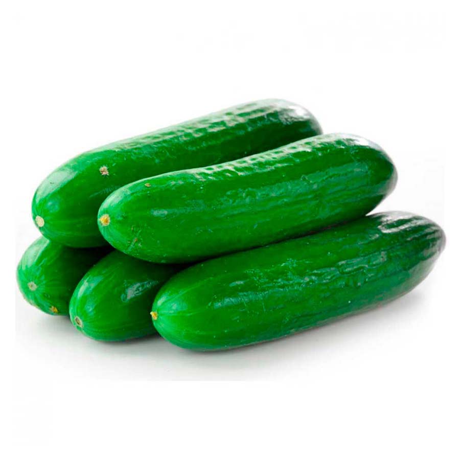 Pepino cohombro Unidad
