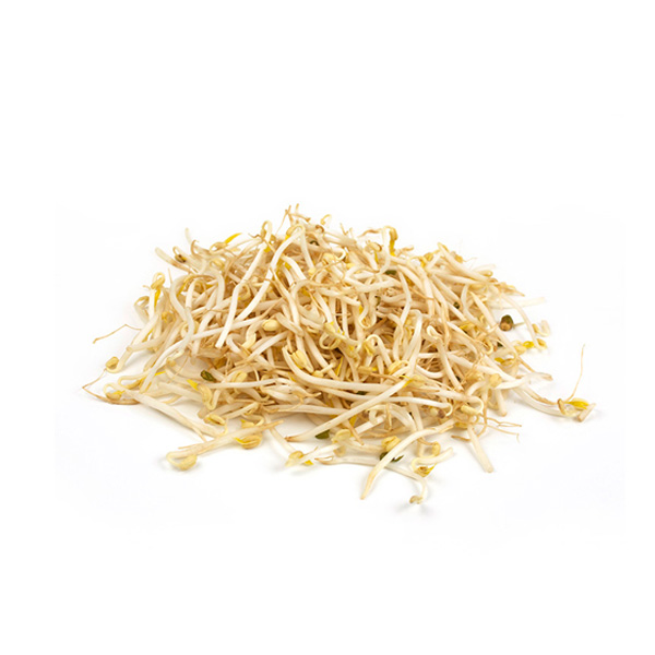 Raíz China paq*250gr