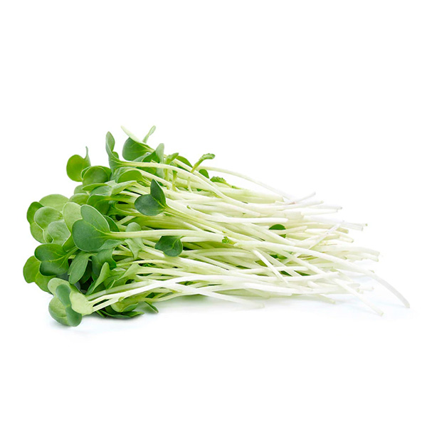 Alfalfa-brotes de colores 100gr