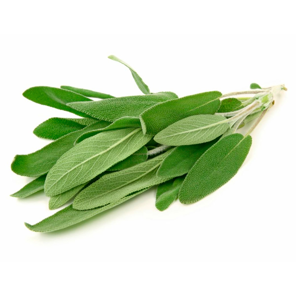 Salvia paq*200gr