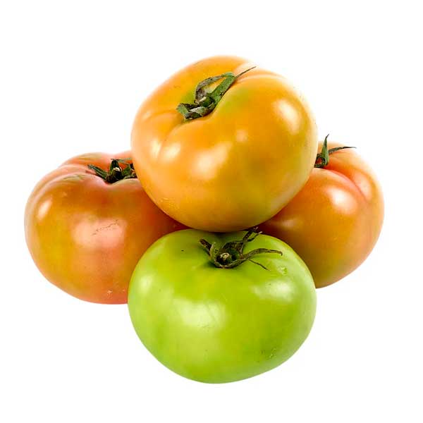 Tomate Larga Vida/Milano Libra